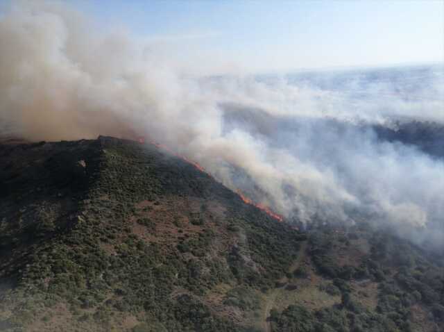 İzmir'de ormanlık alanda çıkan yangına 6 uçakla müdahale sürüyor İzmir'de ormanlık alanda çıkan yangına 6 uçakla müdahale sürüyor