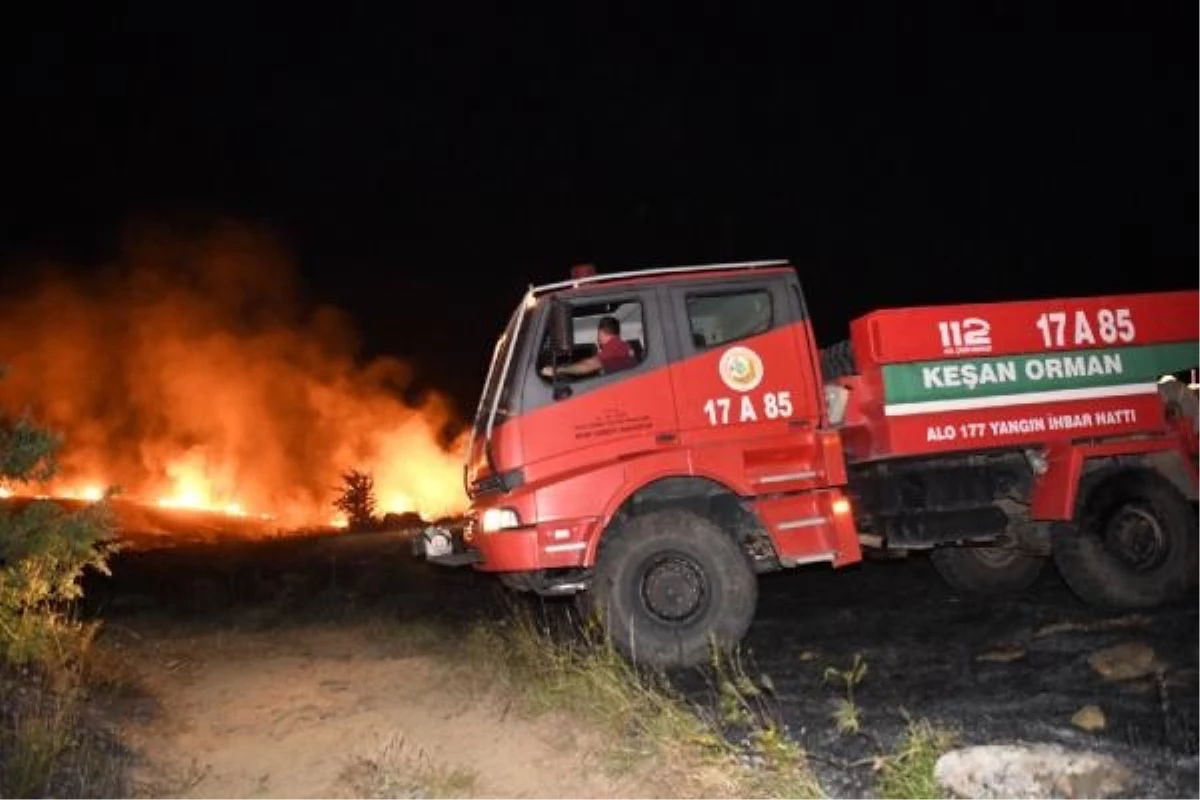 Keşan\'da Buğday Ekili Arazide Yangın: 100 Dönüm Alan Zarar Gördü