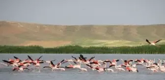 Seyfe Gölü'nde Su Seviyesi Yüzde 80'e Ulaştı