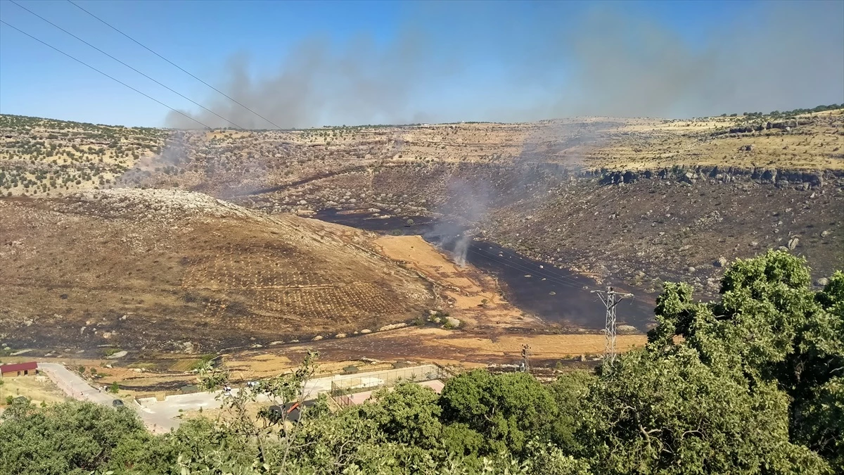 Diyarbakır\'ın Eğil ilçesinde tarlada başlayan yangın meyve ağaçlarına zarar verdi