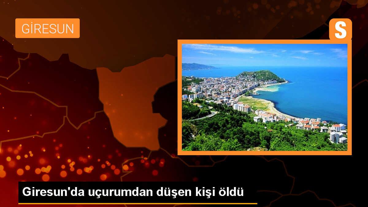 Giresun\'un Doğankent ilçesinde uçurumdan düşen kişi hayatını kaybetti
