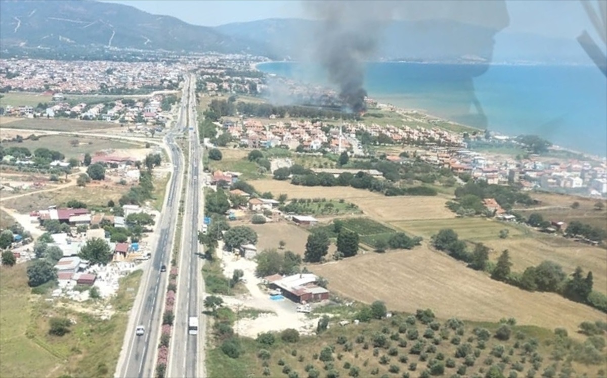 İzmir Seferihisar\'da Sazlık Alanında Yangın Çıktı