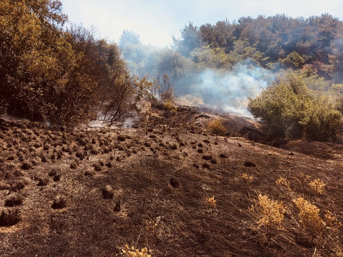 Osmaniye\'de çıkan orman yangınında 2 dekarlık alan zarar gördü