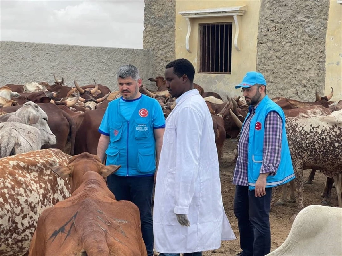 TDV, Somali\'de bir milyon ihtiyaç sahibine kurban eti dağıttı