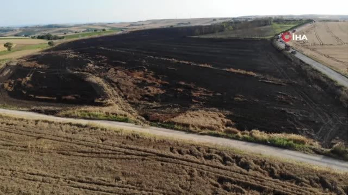 Çatalca\'da 200 dönümlük buğday tarlası alev alev yandı