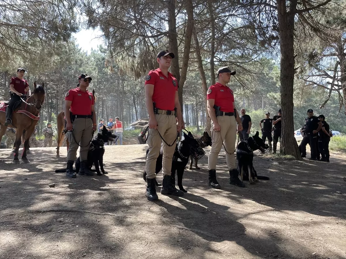 İstanbul Emniyet Müdürlüğü, Maltepe\'deki Orman ve Mesire Alanlarında Denetim Yaptı