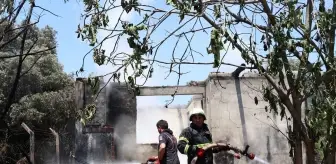 Darıca'da Zeytinlikte Çıkan Yangın Söndürüldü