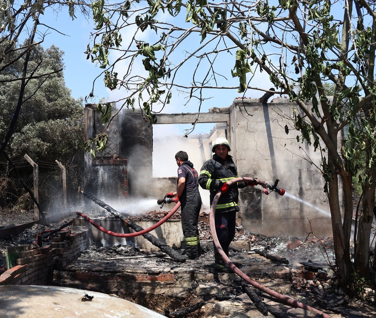 Darıca'da Zeytinlikte Çıkan Yangın Söndürüldü