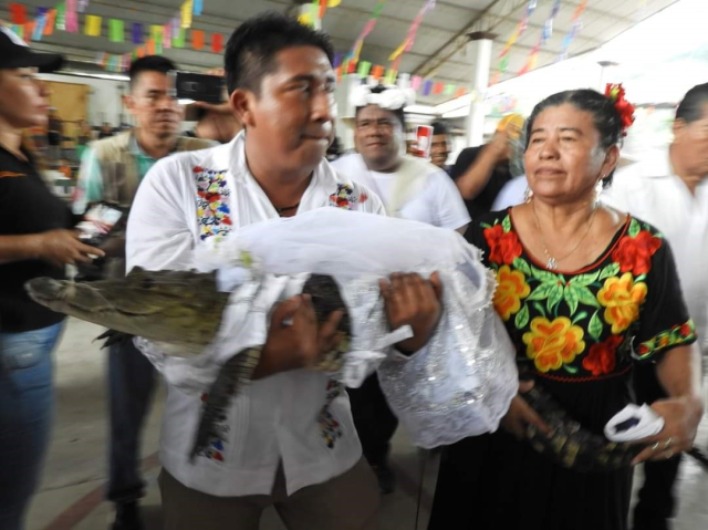 Meksikalı belediye başkanı, timsahla evlendi: Birbirimizi seviyoruz, önemli olan bu