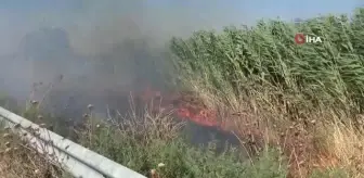 Mısır tarlasındaki yangın büyümeden söndürüldü