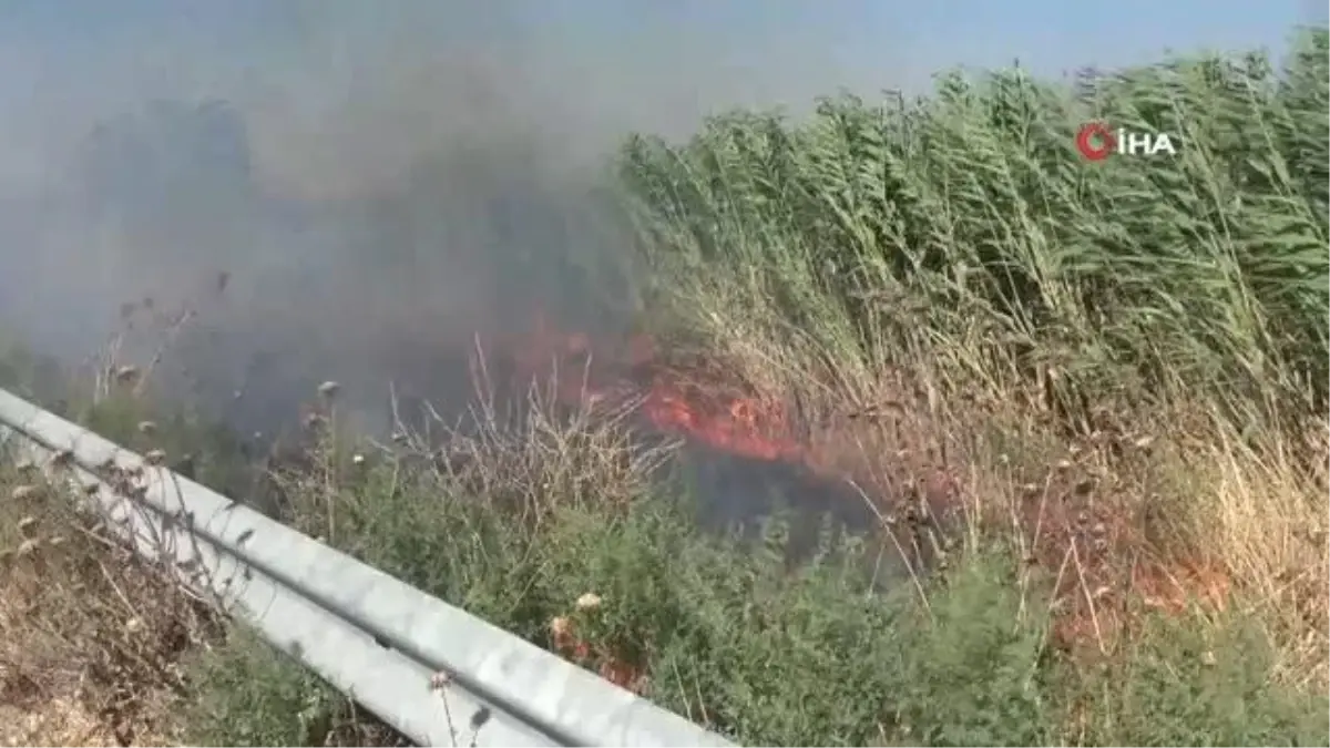 Mısır tarlasındaki yangın büyümeden söndürüldü