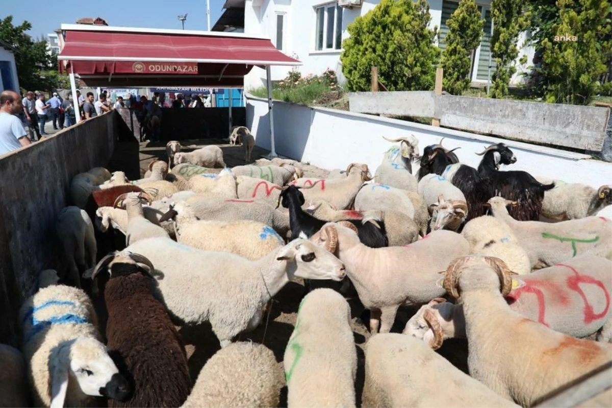 Odunpazarı Belediyesi Ücretsiz Kurban Kesim Yerleri Vatandaşların Beğenisini Kazandı