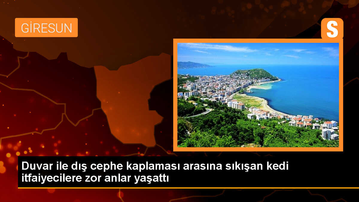 Şebinkarahisar\'da mahsur kalan yavru kedi itfaiye ekiplerince kurtarıldı