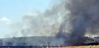 Edirne'de 360 Dönümlük Tarlada Yangın: Buğday ve Samanlar Yandı