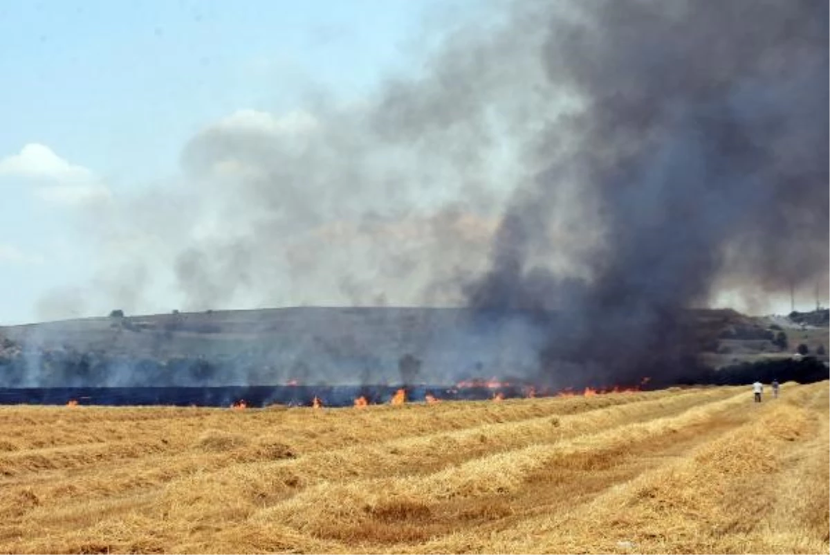 Edirne\'de 360 Dönümlük Tarlada Yangın: Buğday ve Samanlar Yandı