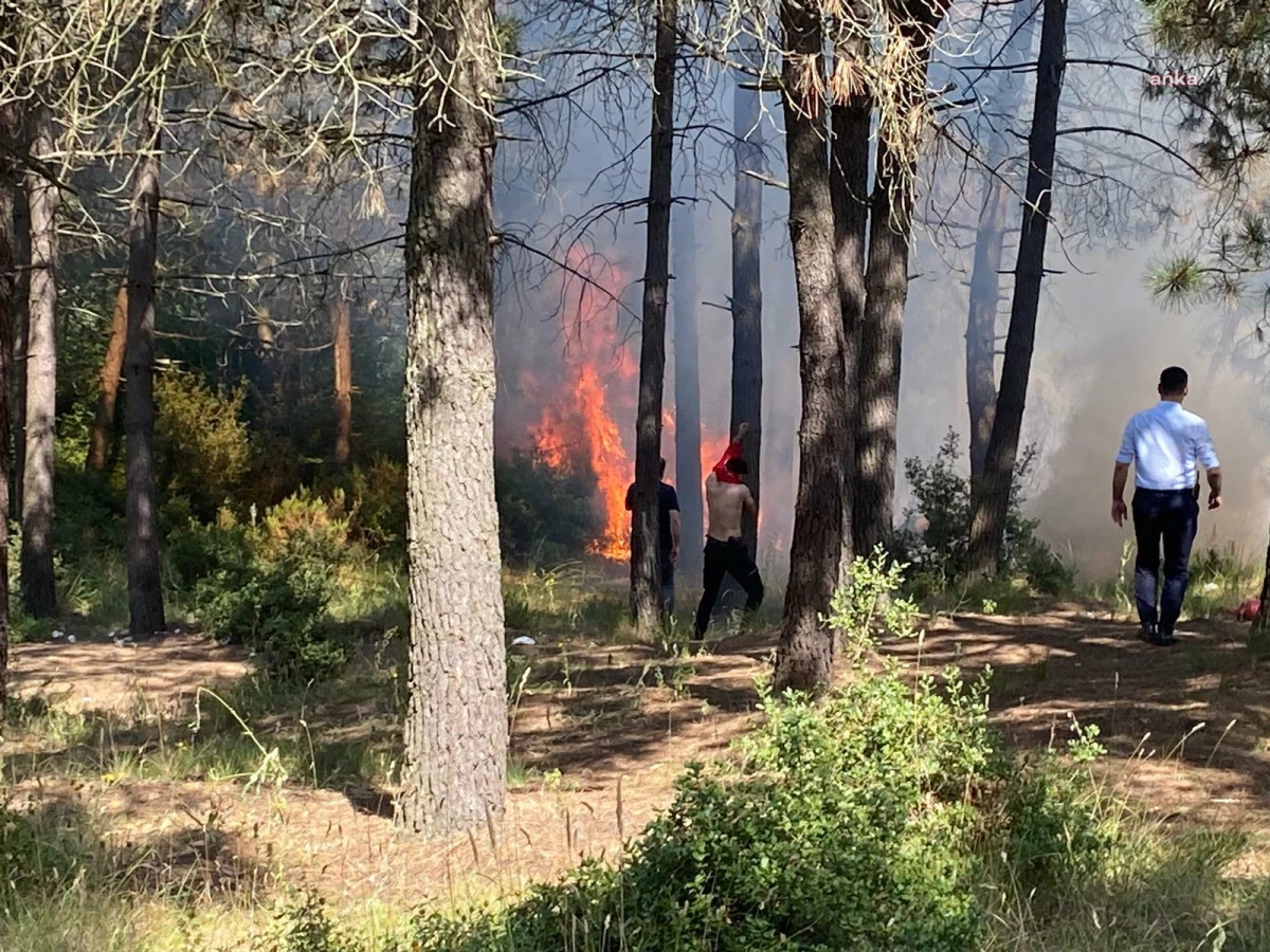 İstanbul Sultangazi\'deki Hacı Bektaş-ı Veli Kent Ormanı\'nda Yangın Çıktı