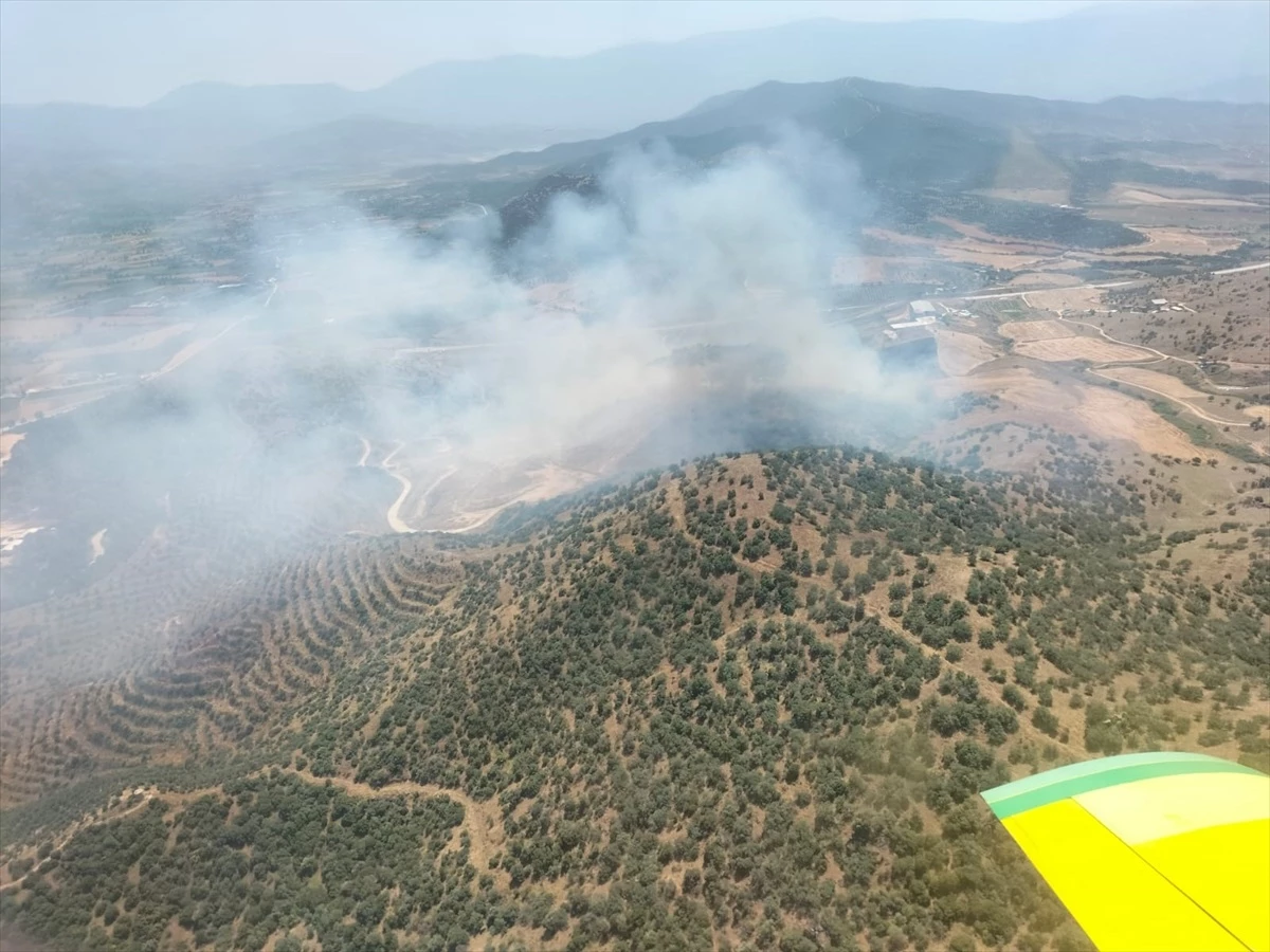 İzmir\'in Kiraz ilçesinde tarlada başlayan yangına müdahale ediliyor