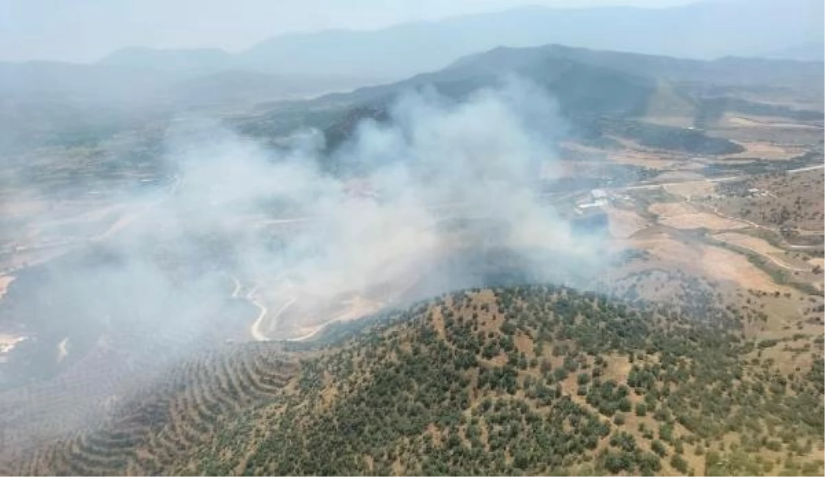 İzmir\'de Ekin Tarlasında Çıkan Yangın Ormana Sıçradı