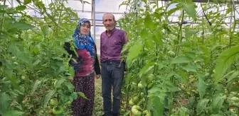 Konya'da Hibe Desteğiyle Kurulan Sera Geçim Kaynağı Oldu