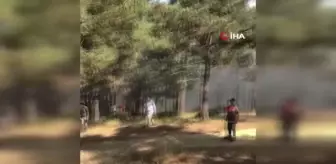 Sultangazi'de Kent Ormanı'nda Yangın