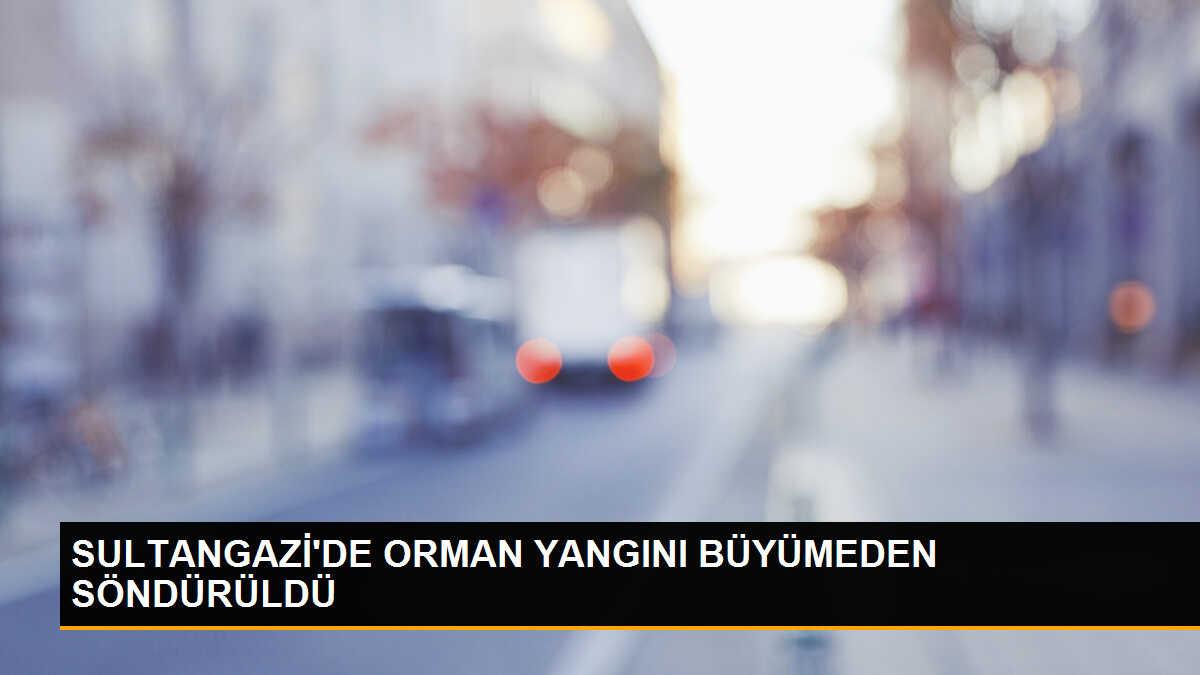 Sultangazi Hacı Bektaş Veli Kent Ormanı\'nda çıkan yangın büyümeden söndürüldü