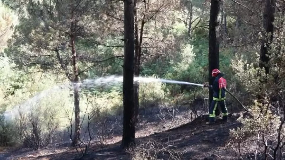 Sultangazi Hacı Bektaş Veli Kent Ormanı\'nda çıkan yangın büyümeden söndürüldü