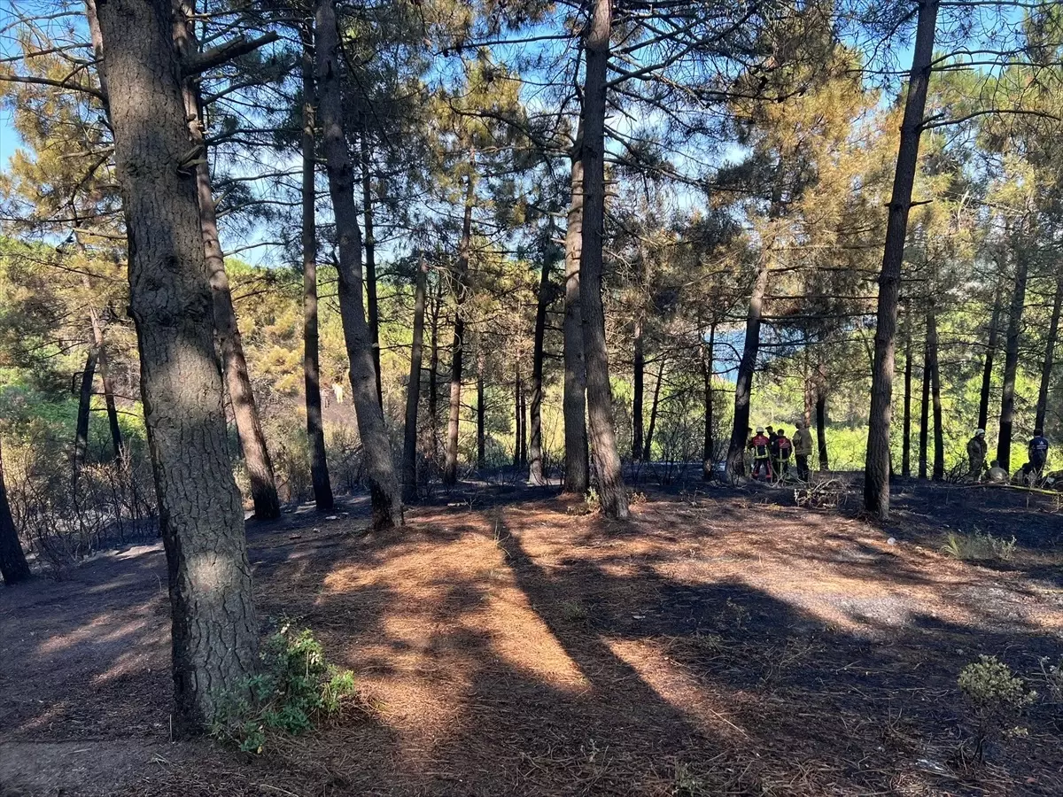 Sultangazi\'deki Hacı Bektaş-i Veli Kent Ormanı\'nda çıkan yangın helikopter destekli müdahaleyle söndürüldü