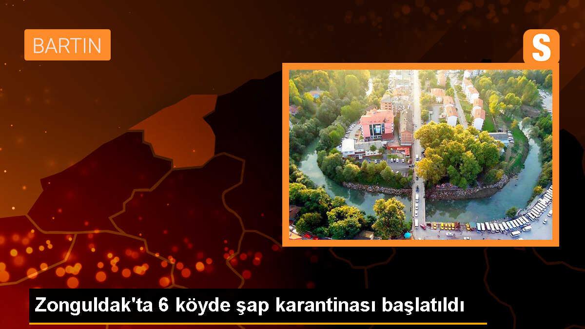 Zonguldak\'ta Şap Hastalığı Nedeniyle 6 Köye Hayvan Giriş ve Çıkışı Kısıtlandı
