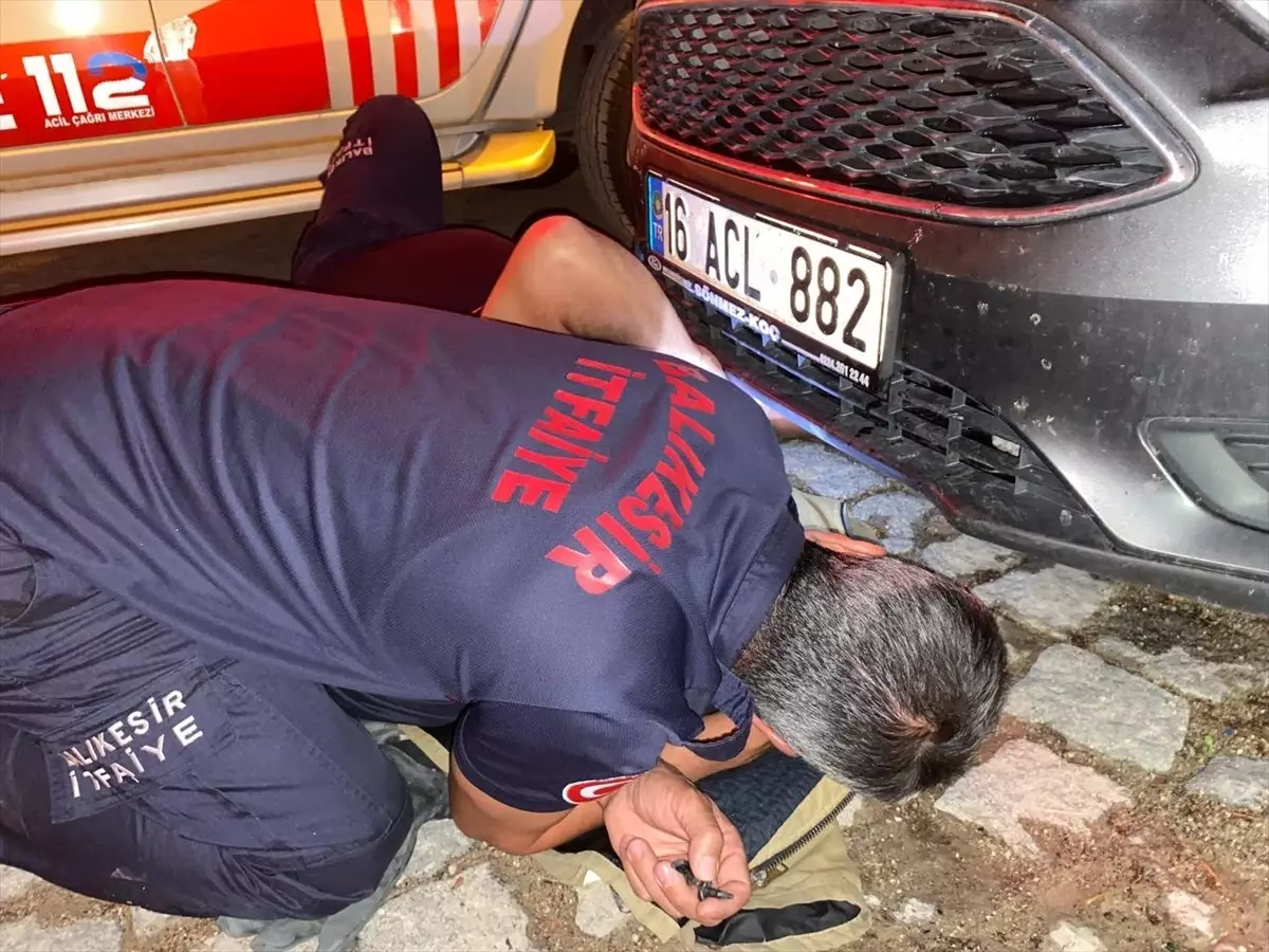 Ayvalık\'ta park halindeki otomobilin motor bölümüne sıkışan kedi itfaiye tarafından kurtarıldı