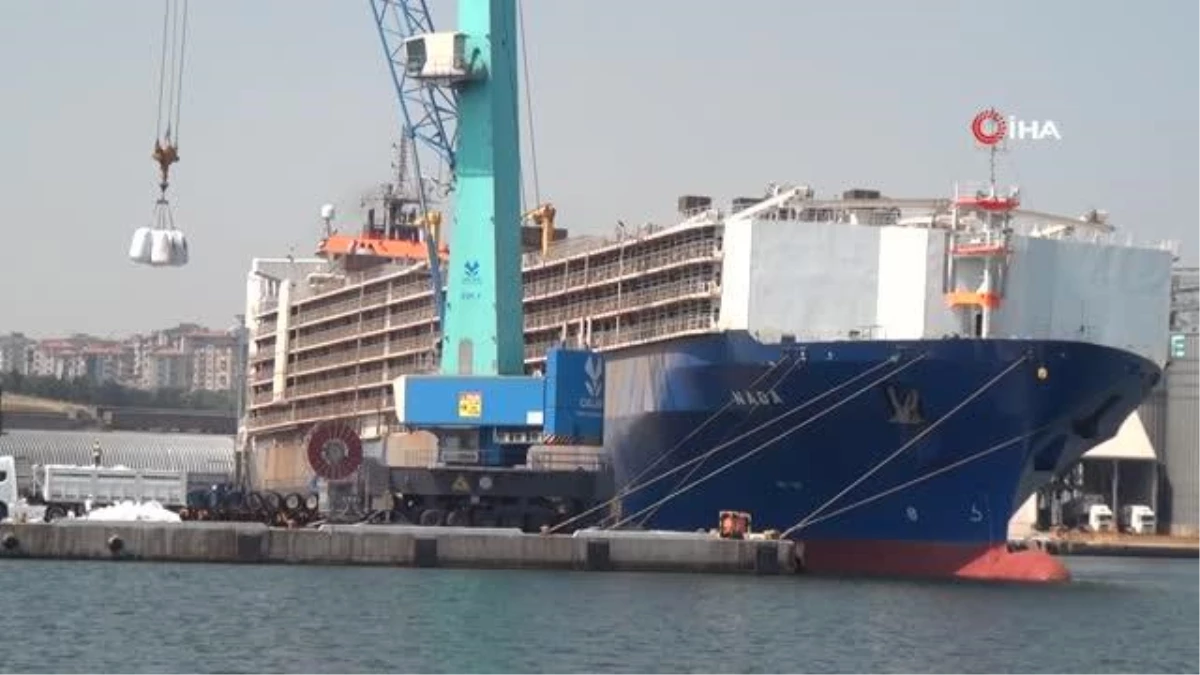 Çelebi Bandırma Limanı\'nda Canlı Hayvan Tahliyesi Hızlı Sürüyor