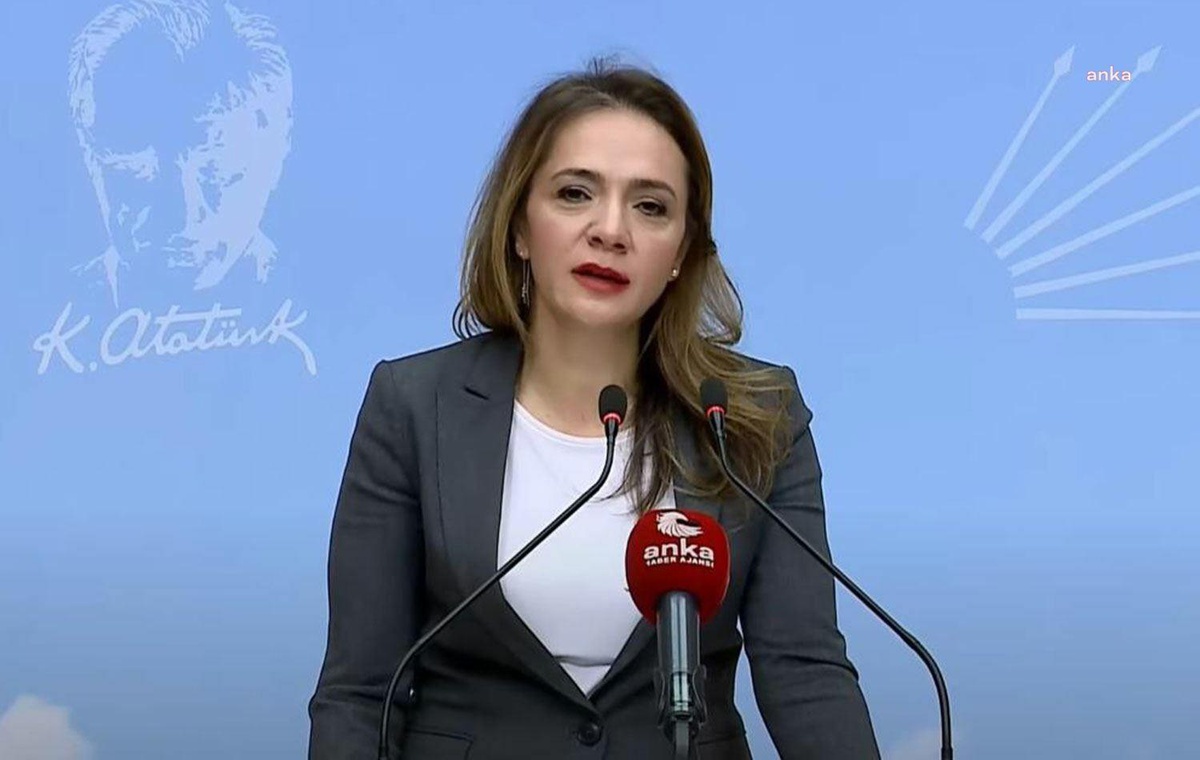 CHP Milletvekili Gamze Akkuş İlgezdi, Kültür ve Turizm Bakanlığı\'na bağlı sanatçılara ödenmeyen teşvik ikramiyelerini gündeme taşıdı