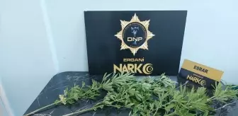 Diyarbakır'da Baharat Poşeti İçerisinde Uyuşturucu Operasyonu