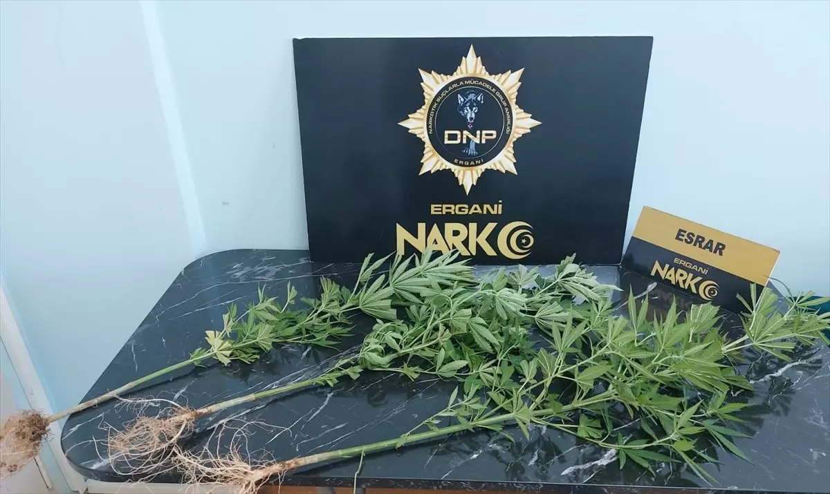 Diyarbakır'da Baharat Poşeti İçerisinde Uyuşturucu Operasyonu