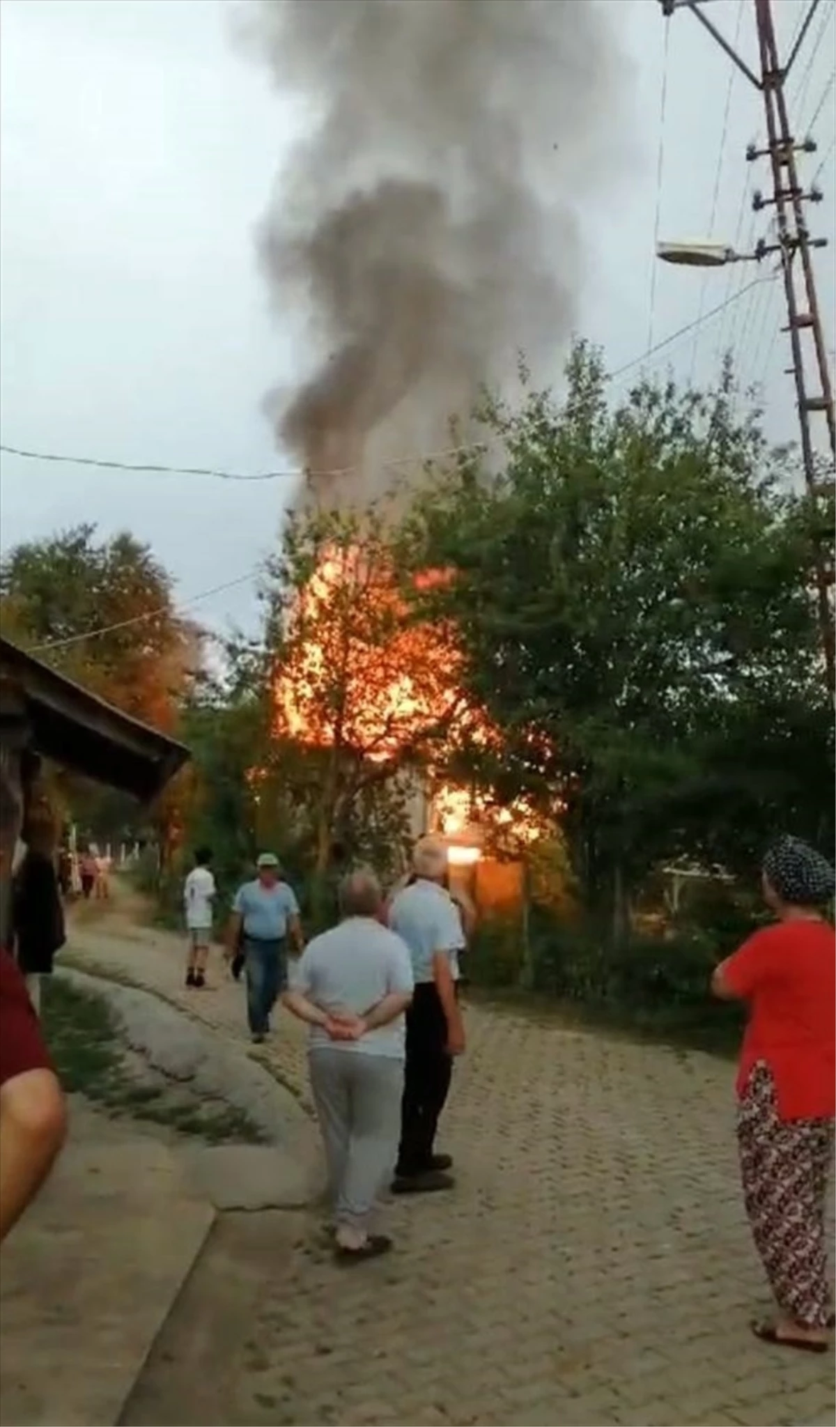 Sinop\'un Erfelek ilçesinde çıkan yangında müstakil ev tamamen yandı