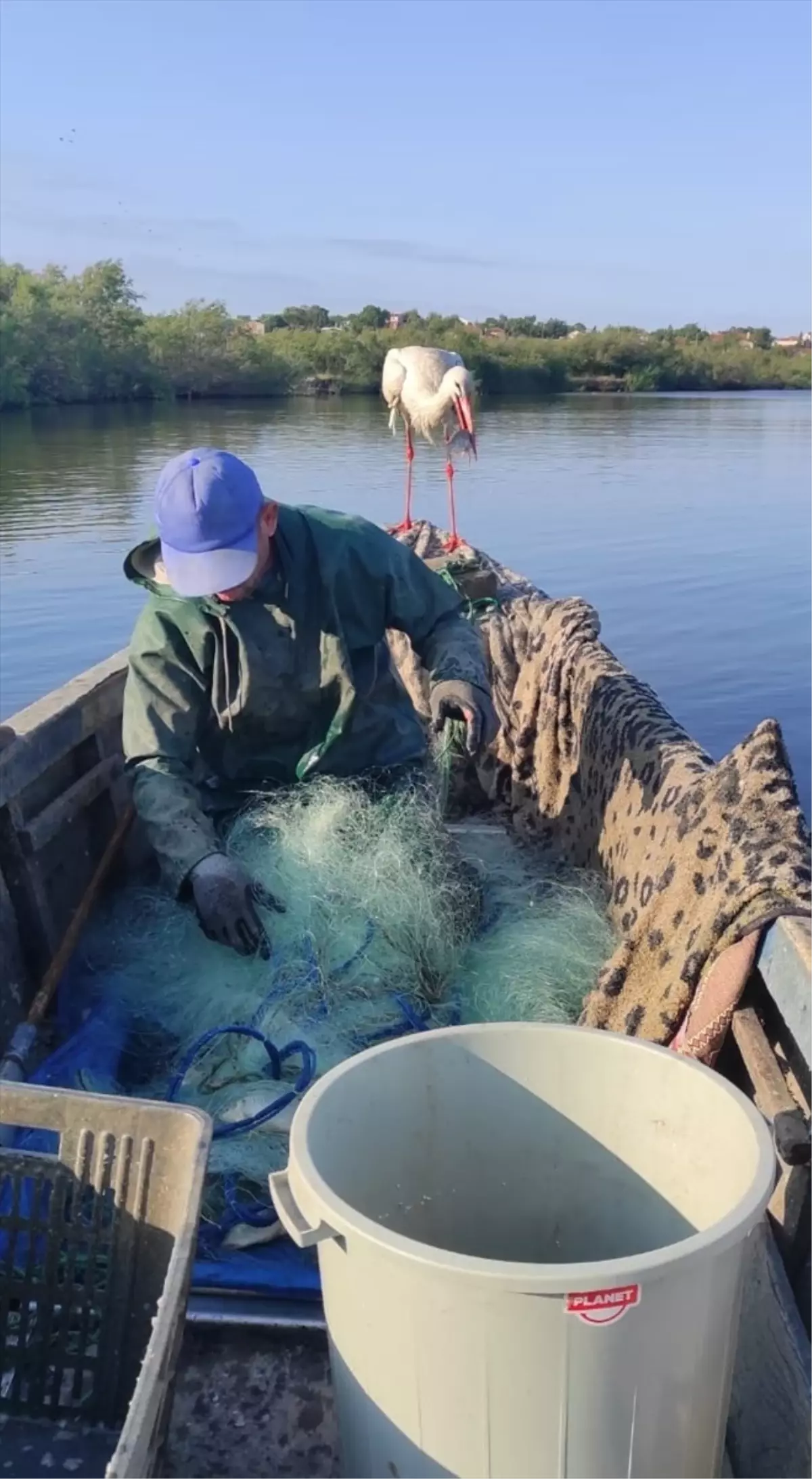 Edirne\'de Balıkçılık Yapan Bedir Yılmazoğlu\'nun Kayığına Yıllardır Gelen Leylek