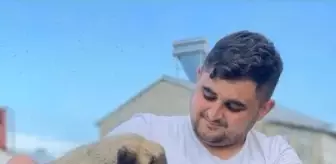 Eski Ağrı Belediye Başkanı Savcı Sayan'ın yeğeni maganda kurşunuyla hayatını kaybetti