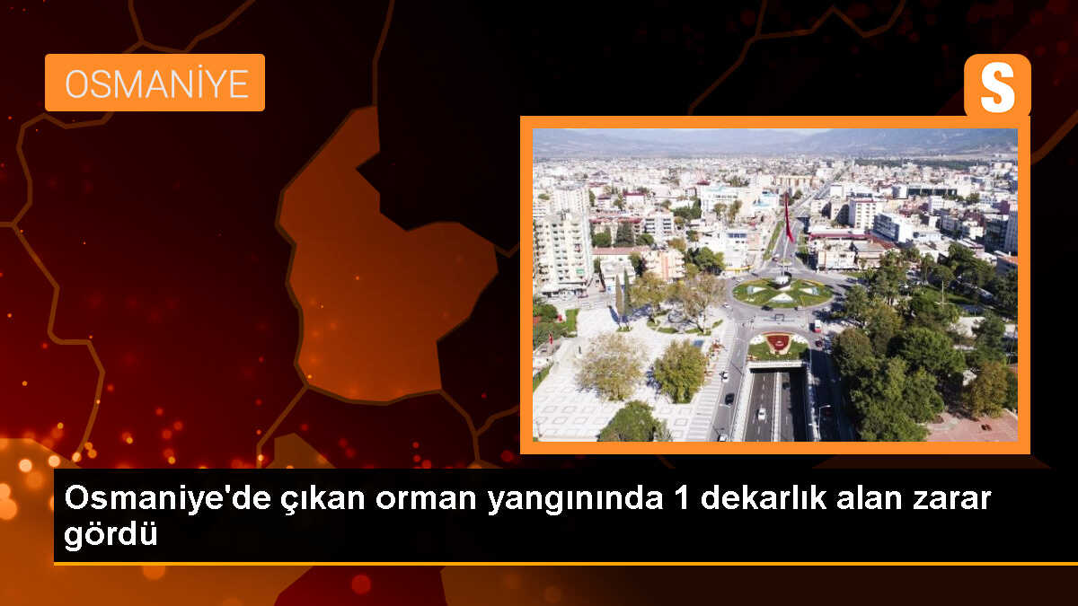 Osmaniye\'de çıkan orman yangınında 1 dekarlık alan zarar gördü