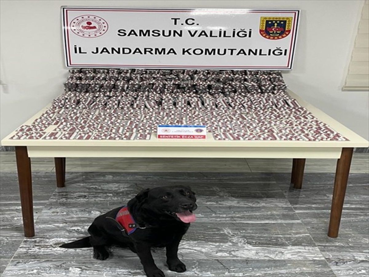 Samsun\'da Jandarma Operasyonunda 615 Şüpheli Yakalandı