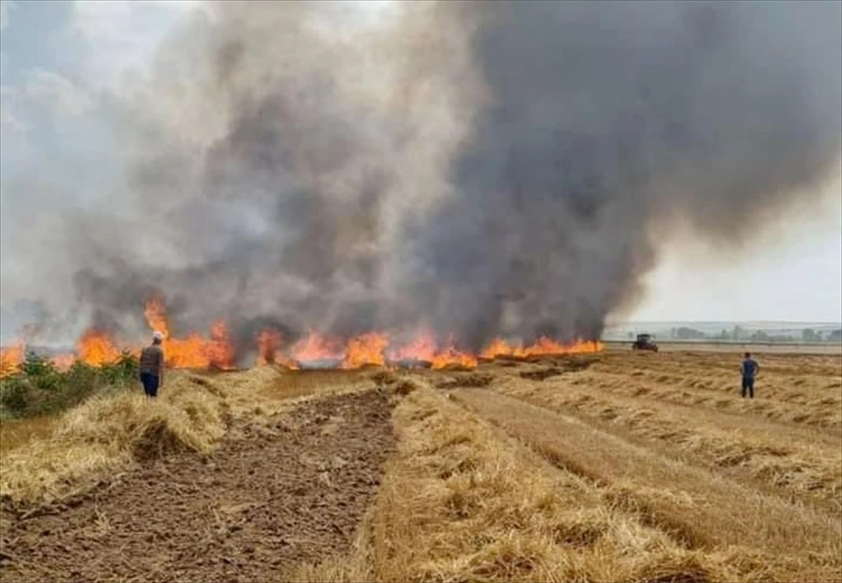 Tekirdağ\'da Tarlada Çıkan Yangın 12 Dönüm Buğday Ekili Alanı Zarara Uğrattı