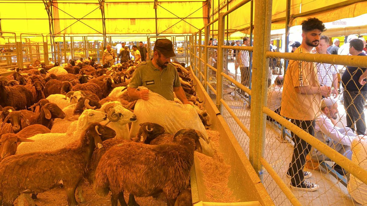 Devlet Destekli Tarım Sigortalarında Toplam Sigorta Bedeli Yüzde 138,1 Arttı