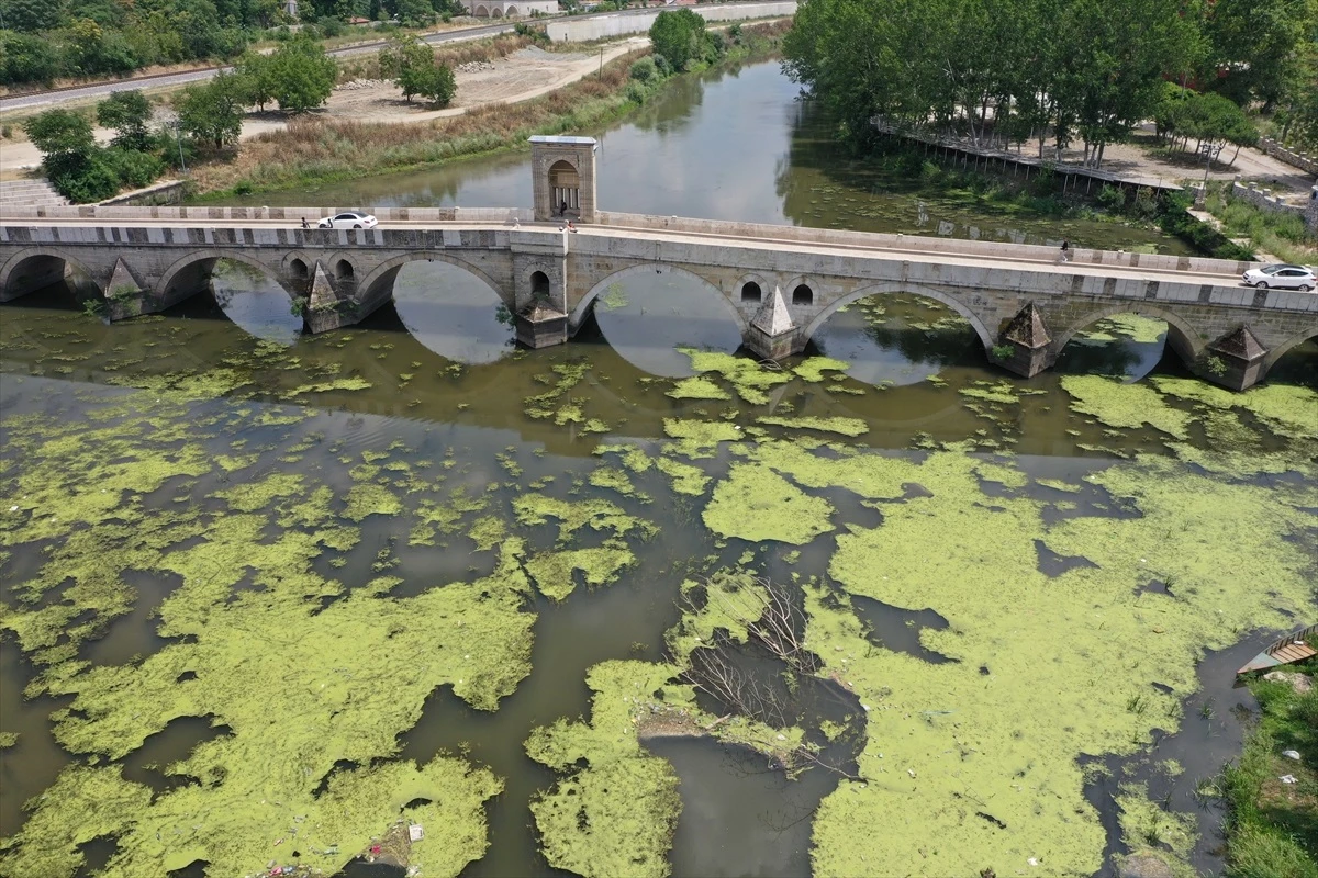 Tunca Nehri\'nde Çöp Kirliliği