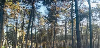 Ümraniye Millet Bahçesi, Kurban Bayramı tatilinde 100 bin kişi tarafından ziyaret edildi