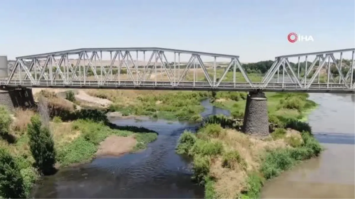 Basra Körfezi\'ne kadar giden Dicle Nehri\'nde korkutan görüntü