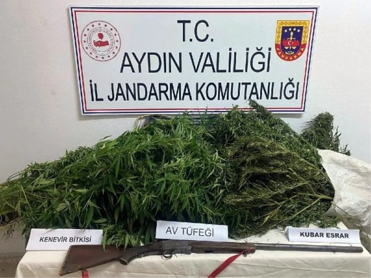 Aydın\'da Uyuşturucu Operasyonu: 3 Kilo Esrar ve 17 Kök Hint Keneviri Ele Geçirildi