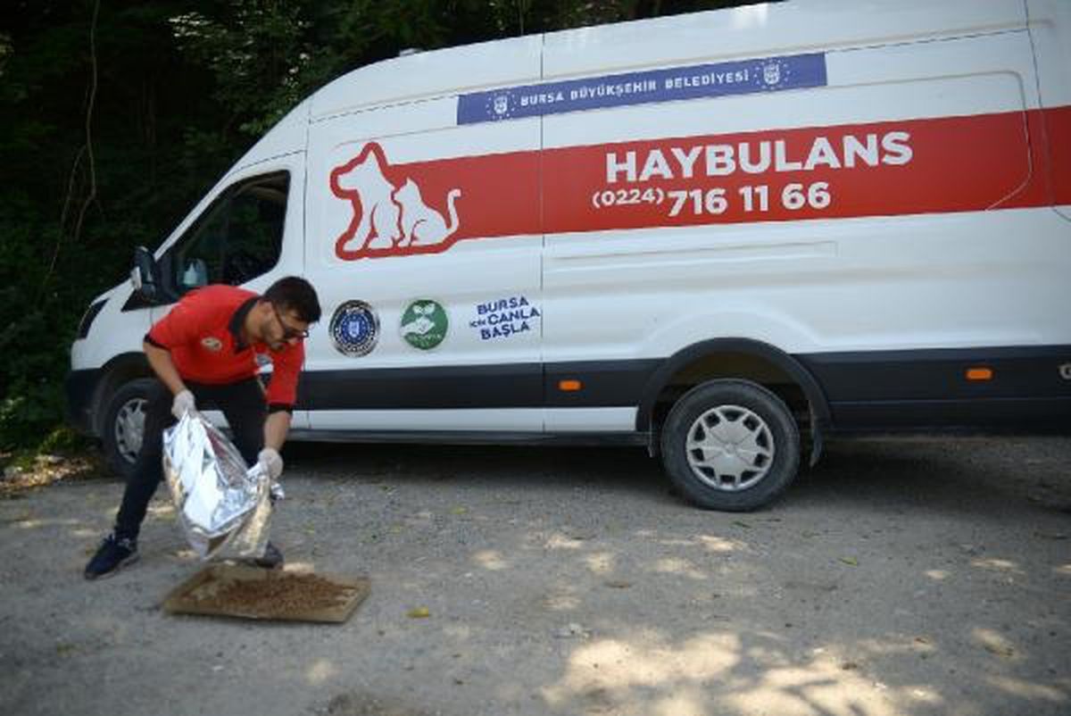 Bursa Büyükşehir Belediyesi Haybulanslarla Sokak Hayvanlarına Müdahale Ediyor