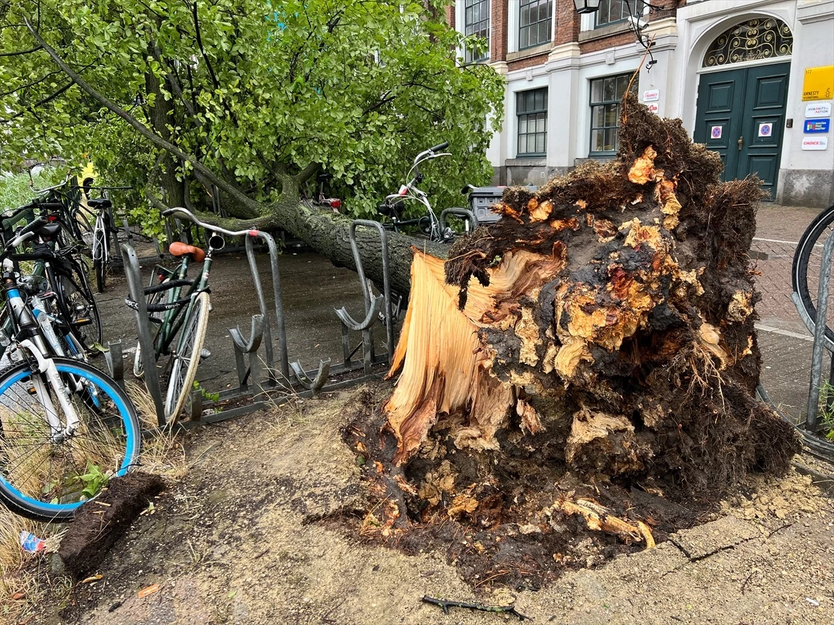 Hollanda\'da Kuvvetli Fırtına: Bir Kadın Hayatını Kaybetti