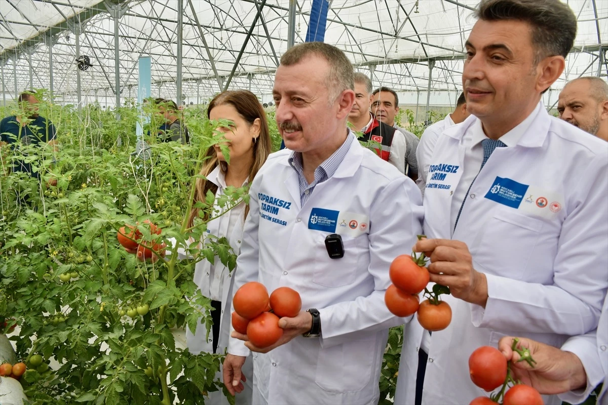 Kocaeli\'de Volkanik Cüruf Kullanılarak Organik Tarım Yapılıyor