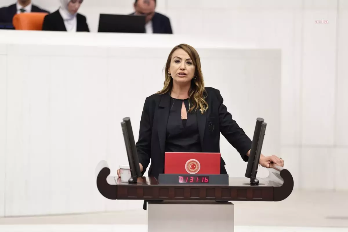 Nermin Yıldırım Kara: "Hatay\'ın Tekrar Kalkınması İçin İhracatçılar, Sanayiciler ve Diğer Yatırımcılara İyileştirici İmtiyazlar İvedilikle...