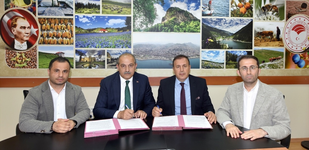 Trabzon Ticaret ve Sanayi Odası İsabella Üzümü Üretimine Destek Protokolü İmzaladı
