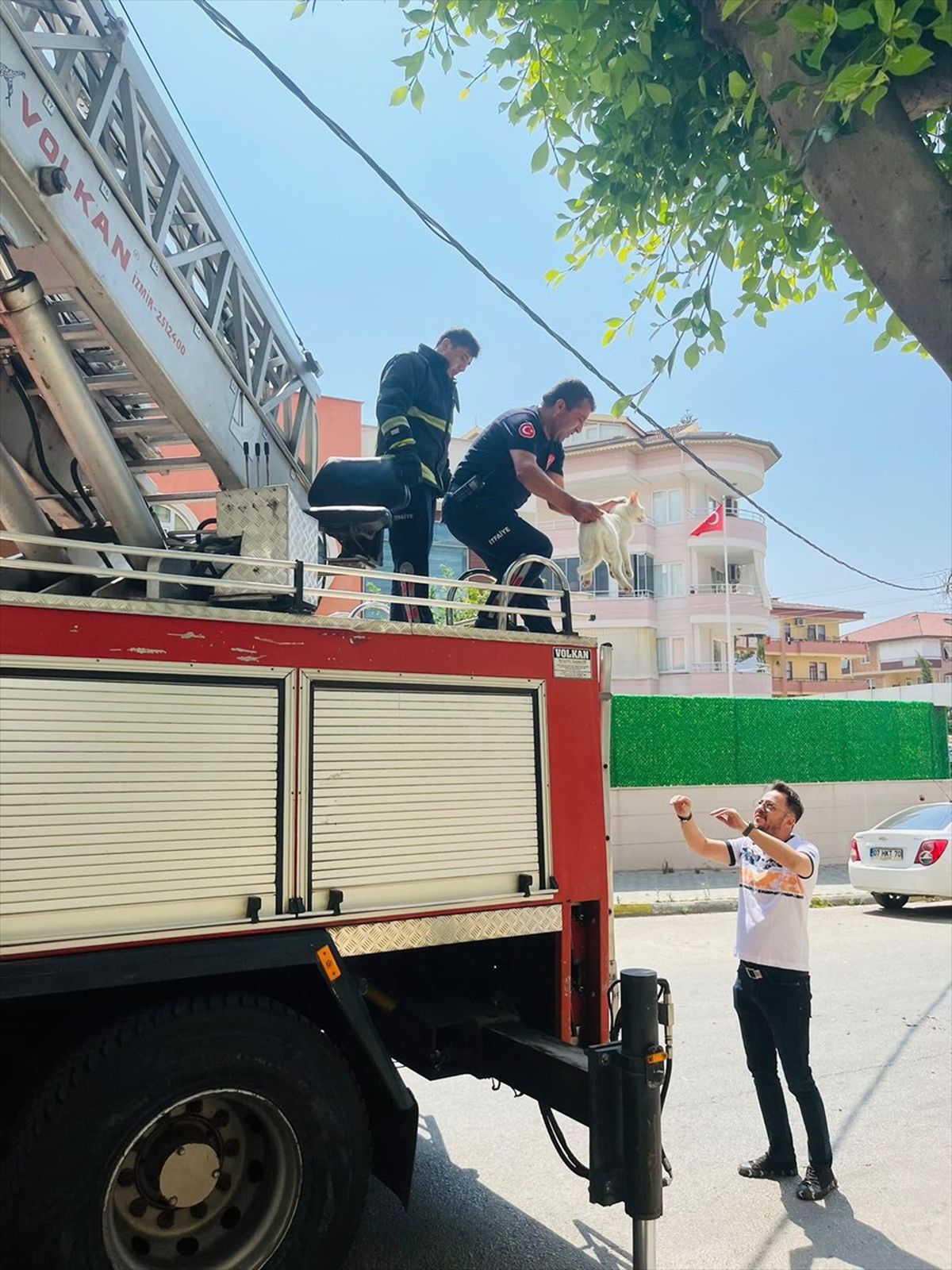 Alanya\'da Mahsur Kalan Kedi İtfaiye Tarafından Kurtarıldı